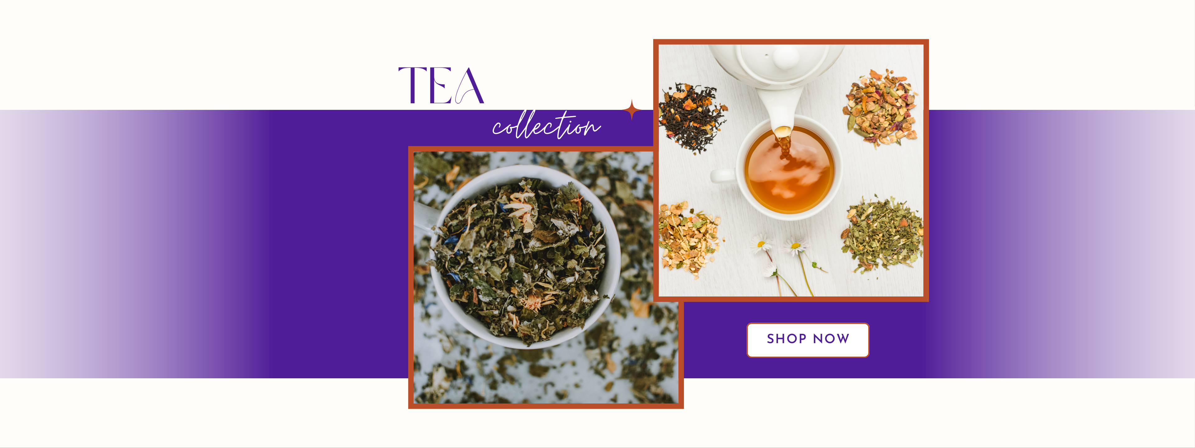 files/Tea_Collection_banner.png